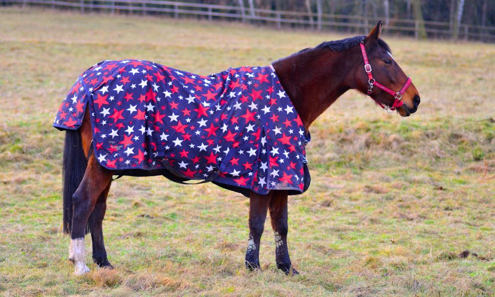 Blanket Repair :: Estrella Horse Blankets