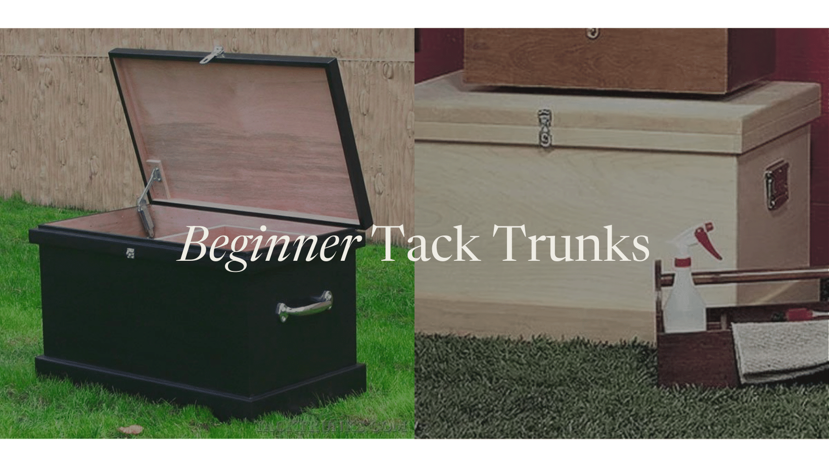 Best Beginner Tack Trunks