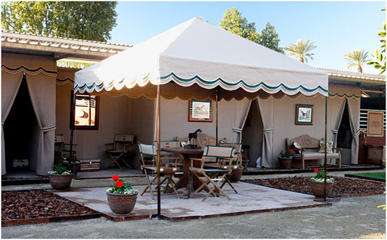 Horse Show Setup and Decorations