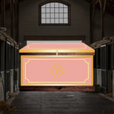 Medium Phoenix West Tack Trunk - Customer's Product with price 1533.95 ID 0Ej0gJDE8lvTDLah4fPdC2g0