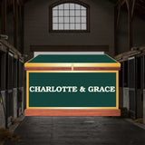 Medium Phoenix West Tack Trunk - Customer's Product with price 1136.50 ID 4NehQv8j6T3GcthbI0GUDMzT