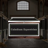 Large Phoenix West Tack Trunk - Customer's Product with price 1351.80 ID h56C4_1FLZH2n_yVGR58QzXq