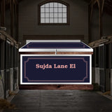 Large Phoenix West Tack Trunk - Customer's Product with price 1325.15 ID OBM6l3PVzp7ofqfwzejjr0Dc