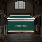 Large Phoenix West Tack Trunk - Customer's Product with price 1289.05 ID ZkdJ04qrVgyGH9xZ--NHOhau