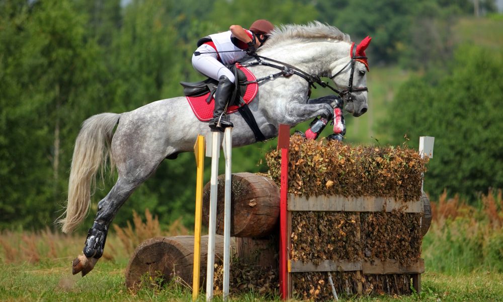 A Quick History of English-Style Horse Competitions