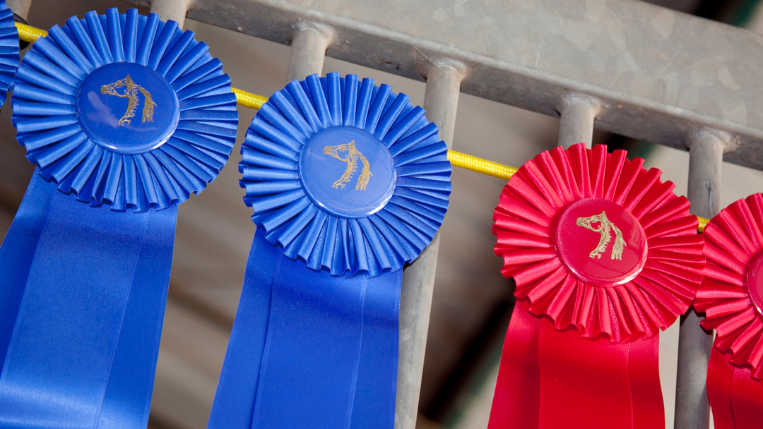 Horse Show Ribbons: What do they mean? – TACKTRUNKS