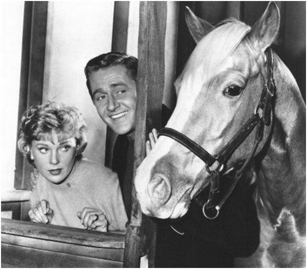 From Stable to Stardom Inspiring Stories of Famous Horses in Movies and TV Shows