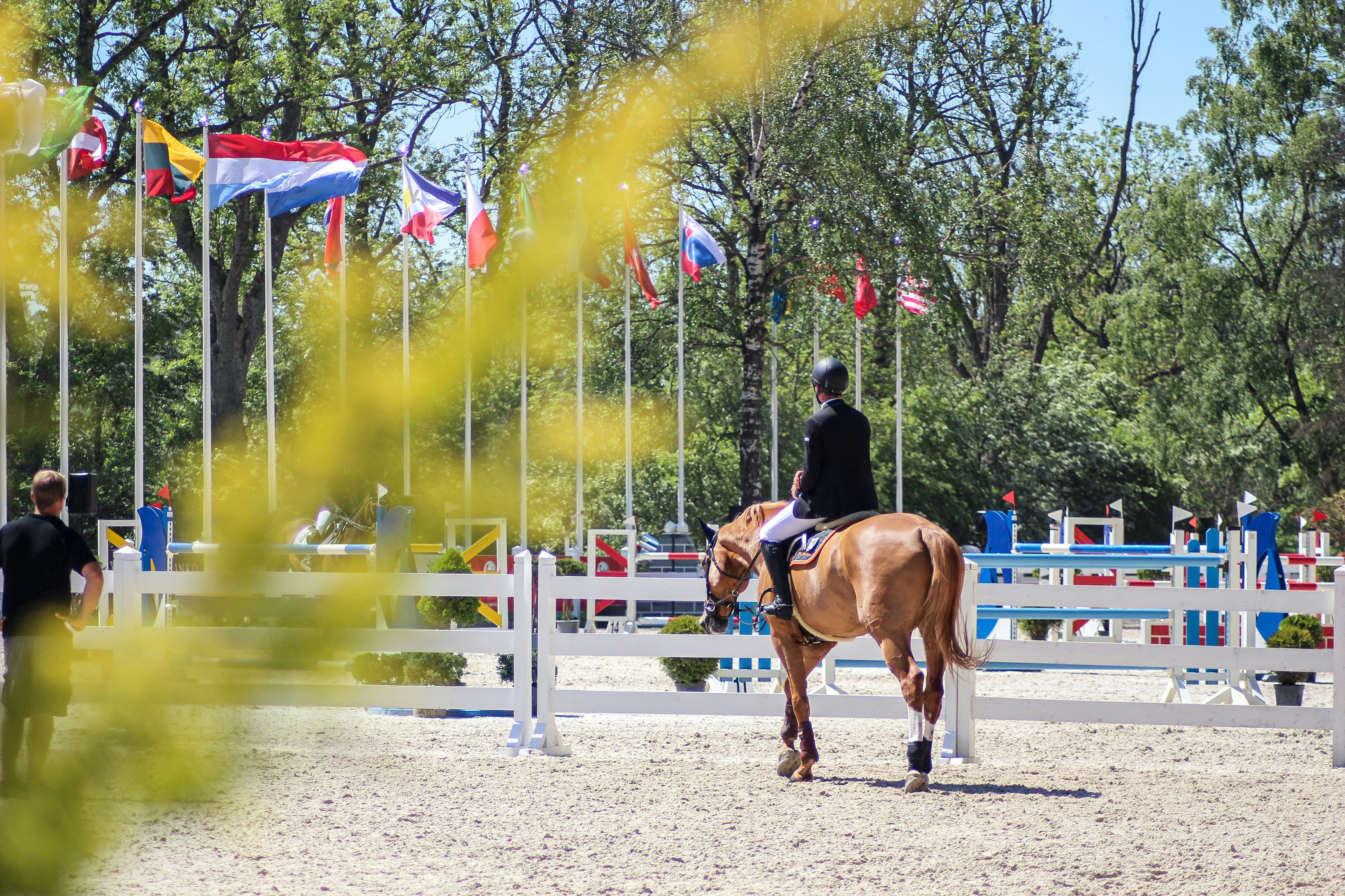 Glossary of Horse Show Terms