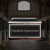 Small Phoenix West Tack Trunk - Customer's Product with price 1137.85 ID QyPS47E-aHQh7uatXyDSDed4