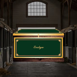 Large Phoenix West Tack Trunk - Customer's Product with price 1319.20 ID GGIVaP3MtIdQiWcxqeyq2YM5