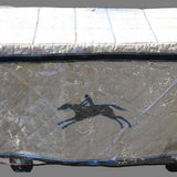 Clear Plastic Trunk Cover